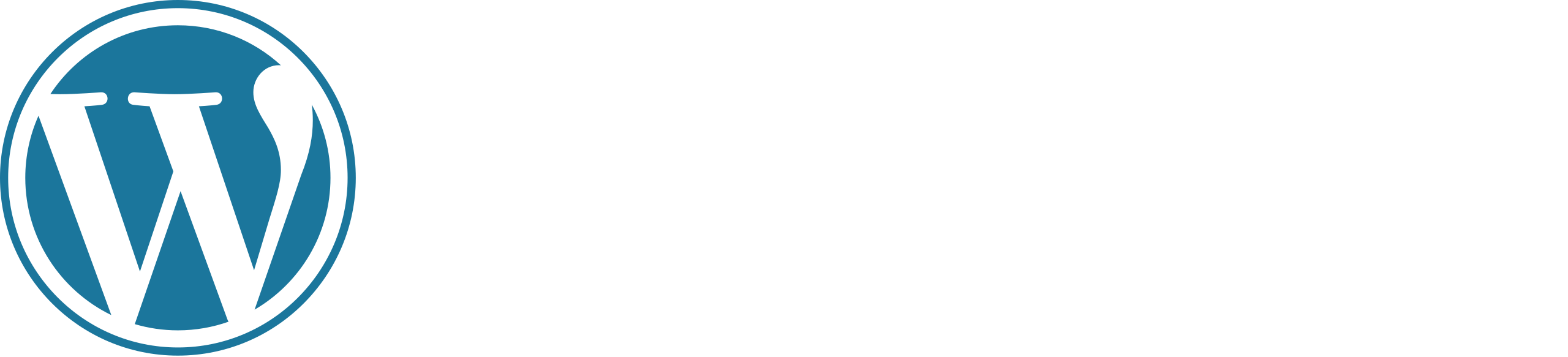 logo wordpress, na którym tworzymy nasze strony internetowe w CSolution